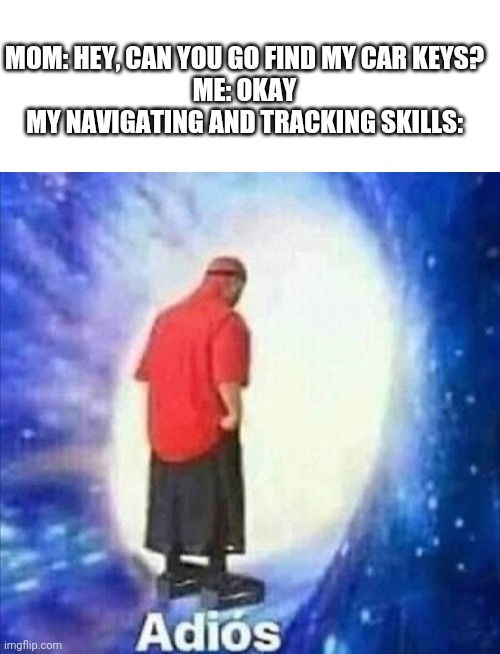 Where brain cells? | MOM: HEY, CAN YOU GO FIND MY CAR KEYS?
ME: OKAY
MY NAVIGATING AND TRACKING SKILLS: | image tagged in blank white template,adios,memes,mom,childhood | made w/ Imgflip meme maker