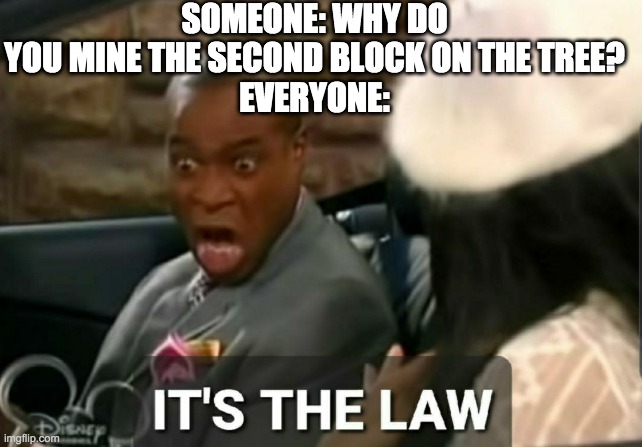 Why do you--? | SOMEONE: WHY DO YOU MINE THE SECOND BLOCK ON THE TREE?
EVERYONE: | image tagged in it's the law | made w/ Imgflip meme maker