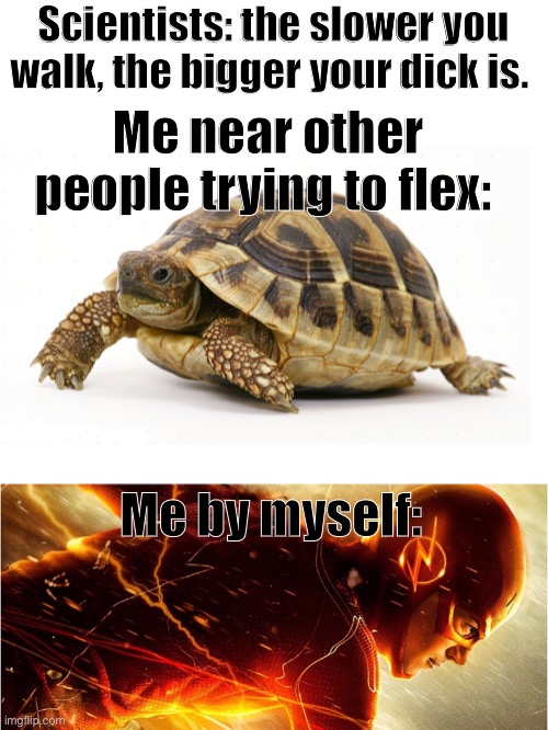I agree | Scientists: the slower you walk, the bigger your dick is. Me near other people trying to flex:; Me by myself: | image tagged in slow vs fast meme,memes,fun,funny | made w/ Imgflip meme maker