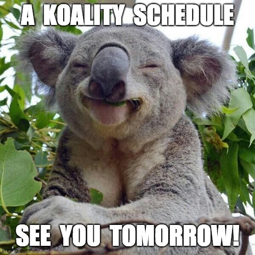 A koality schedule | A  KOALITY  SCHEDULE; SEE  YOU  TOMORROW! | image tagged in koala,schedule,school,timetable | made w/ Imgflip meme maker