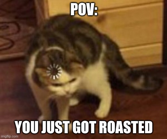Real life issue | POV:; YOU JUST GOT ROASTED | image tagged in loading cat | made w/ Imgflip meme maker