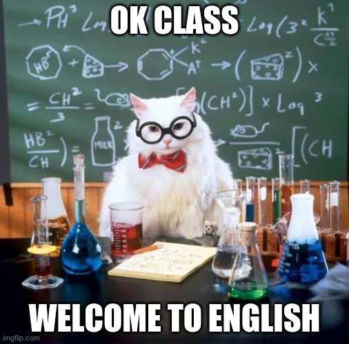 English | OK CLASS; WELCOME TO ENGLISH | image tagged in memes,chemistry cat,english,science | made w/ Imgflip meme maker