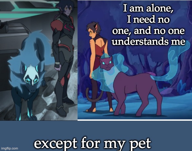 But who is the third image, if this is She-Gon-Tron? | I am alone, I need no one, and no one understands me; except for my pet | image tagged in she-ra,voltron,pet,alone | made w/ Imgflip meme maker