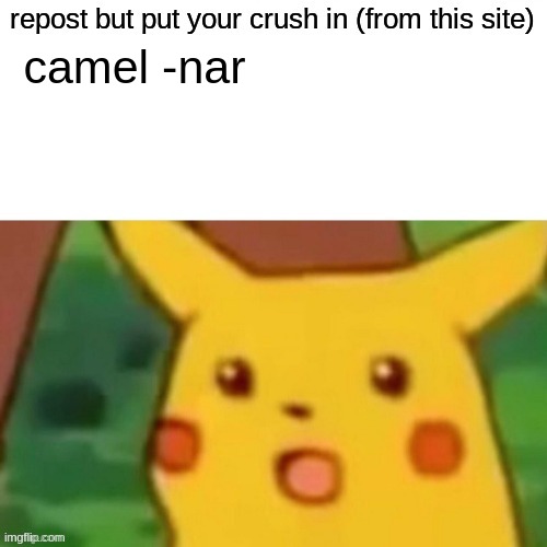 .-. | camel -nar | made w/ Imgflip meme maker