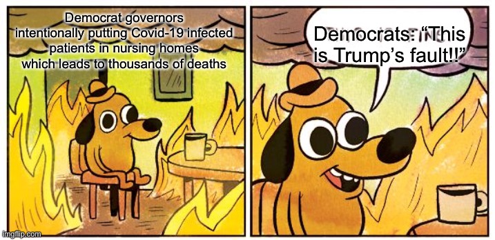 This Is Fine Meme | Democrat governors intentionally putting Covid-19 infected patients in nursing homes which leads to thousands of deaths Democrats: “This is  | image tagged in memes,this is fine | made w/ Imgflip meme maker
