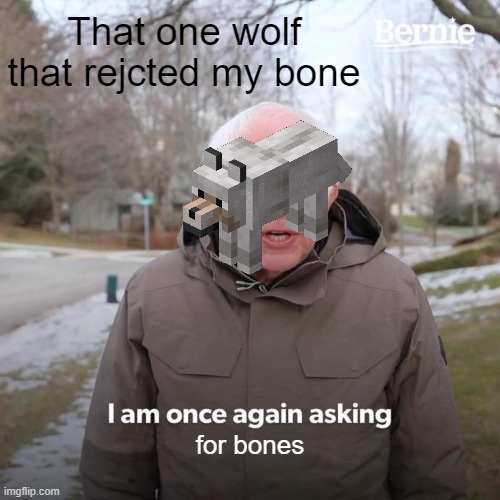 Bernie I Am Once Again Asking For Your Support | That one wolf that rejcted my bone; for bones | image tagged in memes,bernie i am once again asking for your support | made w/ Imgflip meme maker