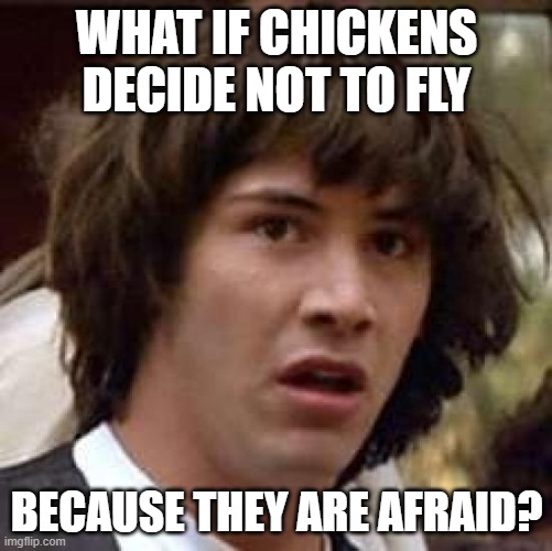 Chickens MIGHT be able to fly | WHAT IF CHICKENS DECIDE NOT TO FLY; BECAUSE THEY ARE AFRAID? | image tagged in memes,conspiracy keanu | made w/ Imgflip meme maker