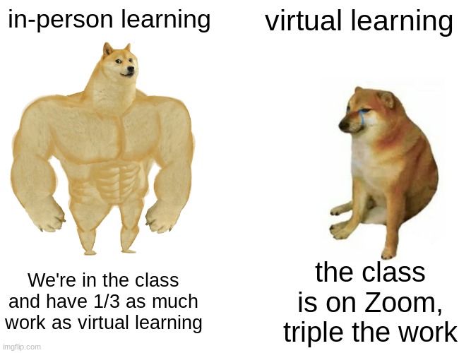 Context: My school asked us to create a meme. | in-person learning; virtual learning; We're in the class and have 1/3 as much work as virtual learning; the class is on Zoom, triple the work | image tagged in memes,buff doge vs cheems | made w/ Imgflip meme maker