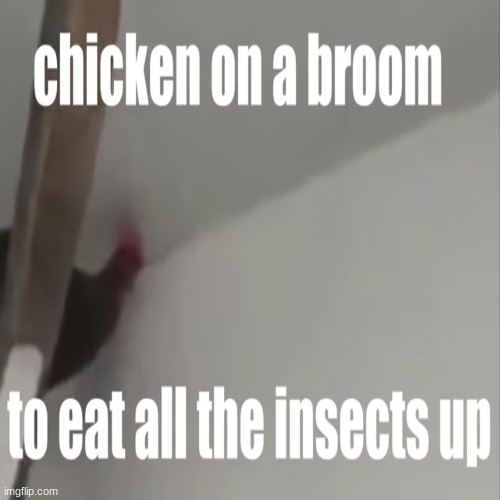Need i say more? | image tagged in memes,chicken,dad joke | made w/ Imgflip meme maker