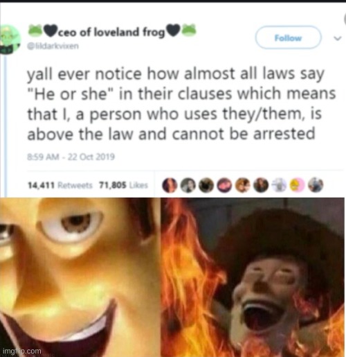 Ngl, I would totally have made this post. | image tagged in i am above the law | made w/ Imgflip meme maker