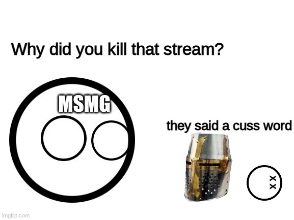 Blank White Template | Why did you kill that stream? MSMG; they said a cuss word; x x | image tagged in blank white template | made w/ Imgflip meme maker
