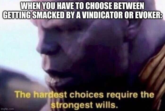 The hardest choices require the strongest wills | WHEN YOU HAVE TO CHOOSE BETWEEN GETTING SMACKED BY A VINDICATOR OR EVOKER: | image tagged in the hardest choices require the strongest wills,minecraft,vindicator,evoker | made w/ Imgflip meme maker