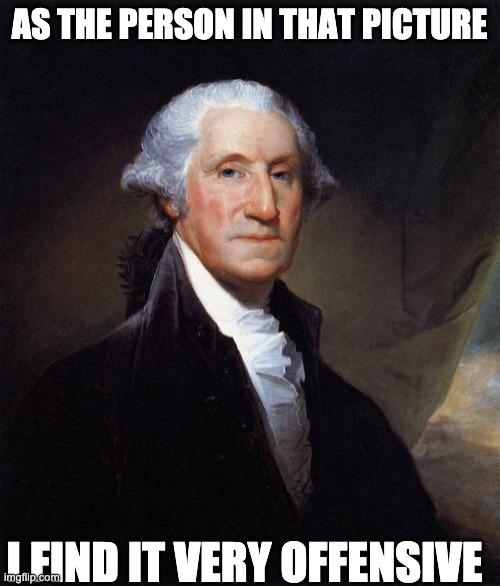 George Washington Meme | AS THE PERSON IN THAT PICTURE I FIND IT VERY OFFENSIVE | image tagged in memes,george washington | made w/ Imgflip meme maker