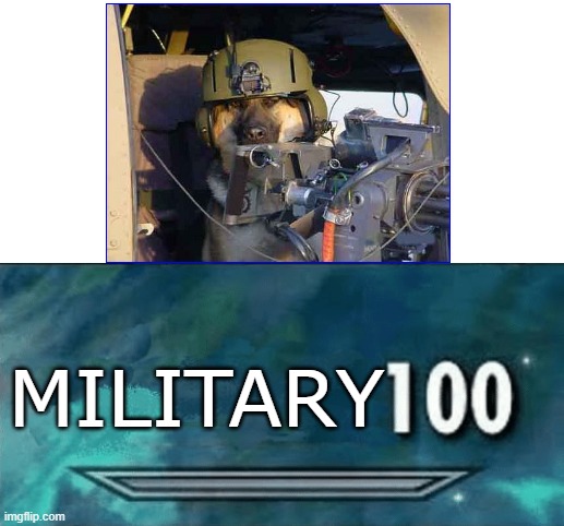 This dog is equipped with their very own Gatling Gun. | MILITARY | image tagged in skyrim skill meme | made w/ Imgflip meme maker