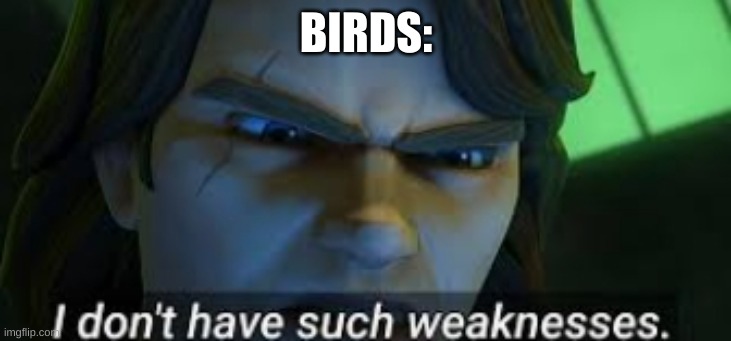 I dont have such weekness | BIRDS: | image tagged in i dont have such weekness | made w/ Imgflip meme maker