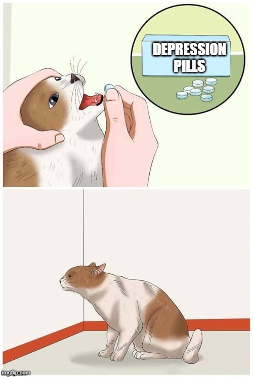 Cat pill template | DEPRESSION PILLS | image tagged in cat pill template | made w/ Imgflip meme maker