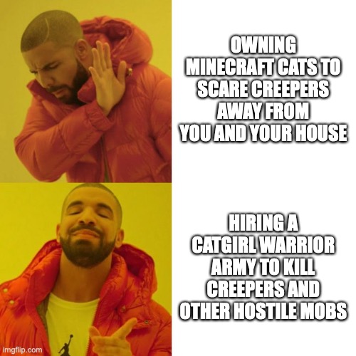 Drake Blank | OWNING MINECRAFT CATS TO SCARE CREEPERS AWAY FROM YOU AND YOUR HOUSE; HIRING A CATGIRL WARRIOR ARMY TO KILL CREEPERS AND OTHER HOSTILE MOBS | image tagged in drake blank | made w/ Imgflip meme maker
