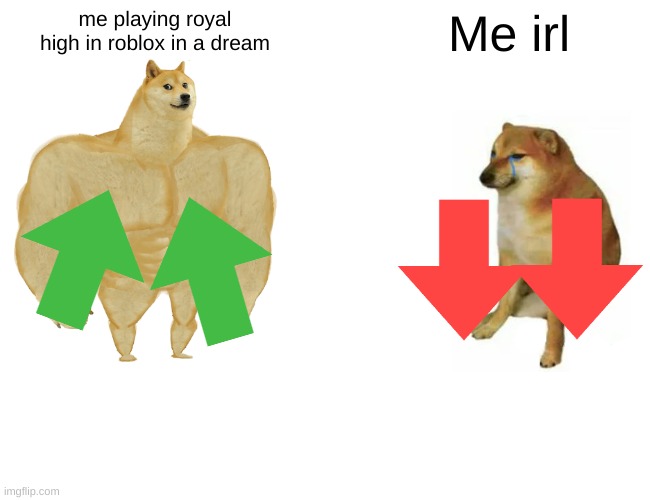 Buff Doge vs. Cheems Meme | me playing royal high in roblox in a dream; Me irl | image tagged in memes,buff doge vs cheems | made w/ Imgflip meme maker