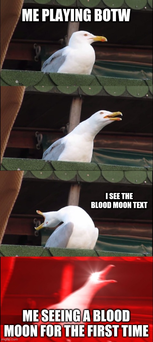 Inhaling Seagull Meme | ME PLAYING BOTW; I SEE THE BLOOD MOON TEXT; ME SEEING A BLOOD MOON FOR THE FIRST TIME | image tagged in memes,inhaling seagull | made w/ Imgflip meme maker