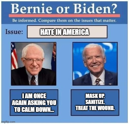 If 2021 Was Debatable... | HATE IN AMERICA; I AM ONCE AGAIN ASKING YOU TO CALM DOWN... MASK UP. SANITIZE. TREAT THE WOUND. | image tagged in bernie or biden,hate in america,mask up,sanitize,calm down,relax | made w/ Imgflip meme maker