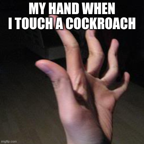 im done w titles. | MY HAND WHEN I TOUCH A COCKROACH | image tagged in cockroach | made w/ Imgflip meme maker