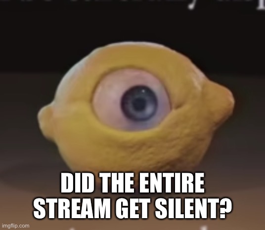 Nearly everyone (Jaiden, Cloud and some others) became silent.. | DID THE ENTIRE STREAM GET SILENT? | image tagged in shocked omega mart lemon | made w/ Imgflip meme maker