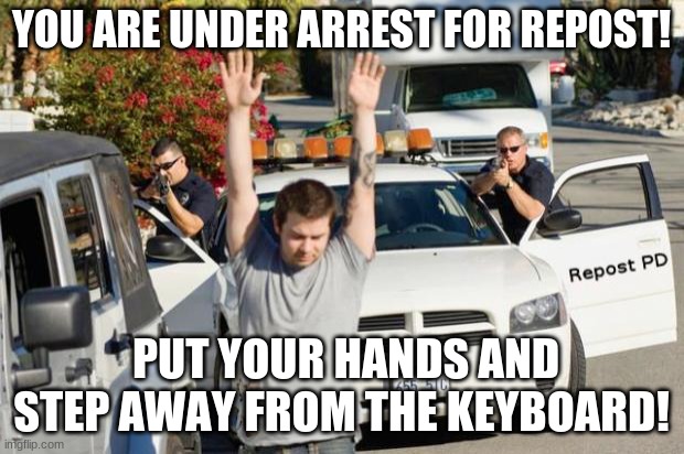 repost police | YOU ARE UNDER ARREST FOR REPOST! PUT YOUR HANDS AND STEP AWAY FROM THE KEYBOARD! | image tagged in funny memes,lol so funny | made w/ Imgflip meme maker