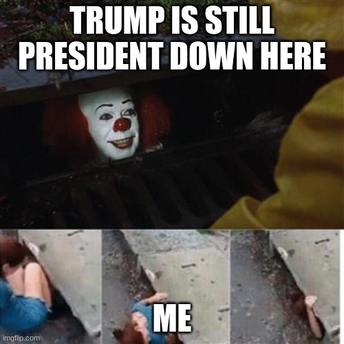 pennywise in sewer | TRUMP IS STILL PRESIDENT DOWN HERE; ME | image tagged in pennywise in sewer | made w/ Imgflip meme maker