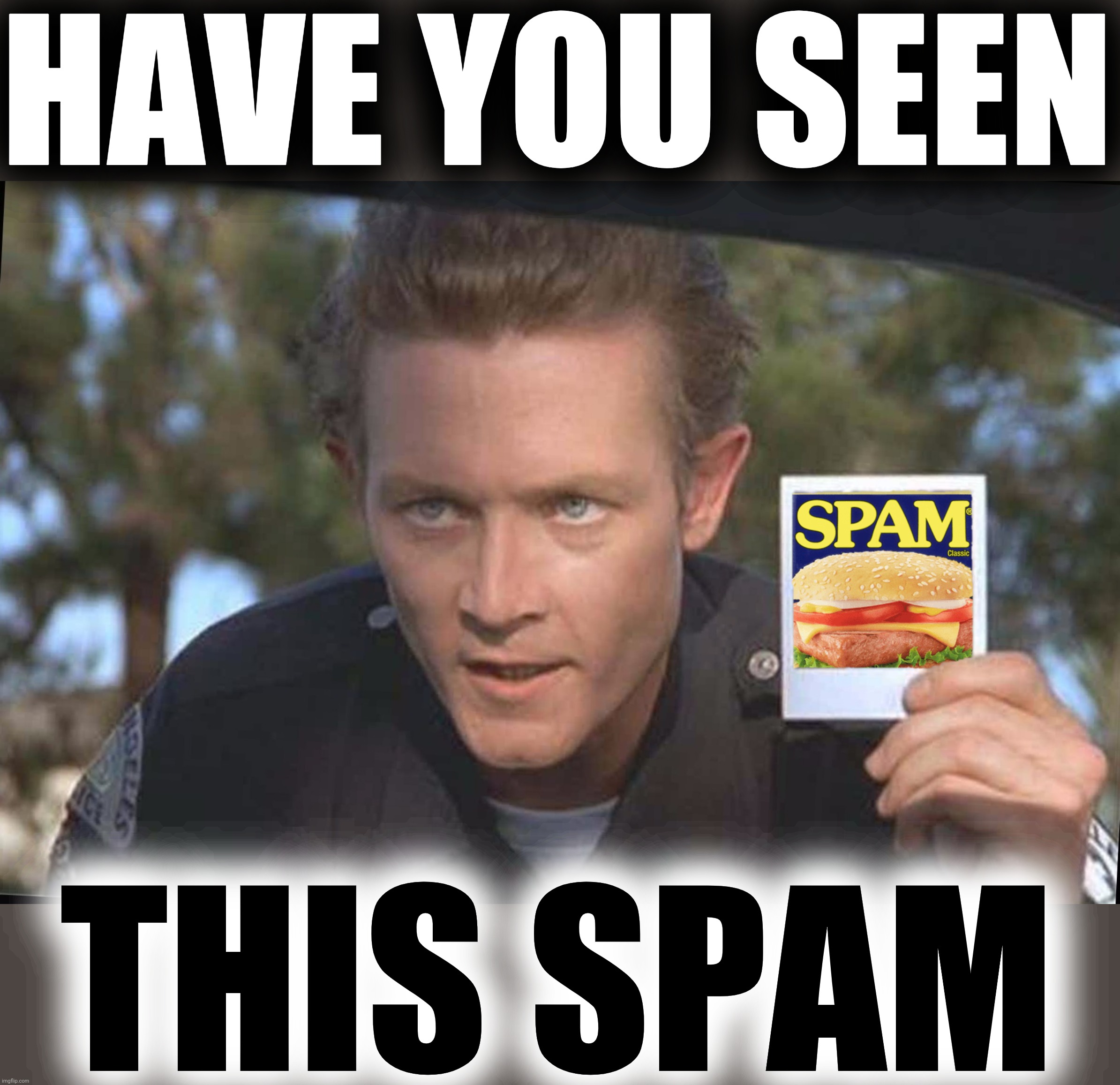 HAVE YOU SEEN THIS SPAM | made w/ Imgflip meme maker