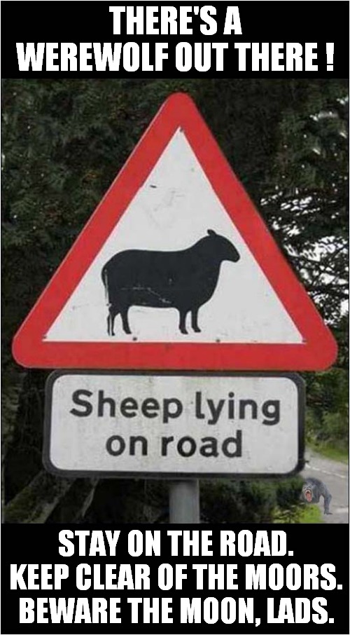 Untrustworthy Sheep Warning ! | THERE'S A WEREWOLF OUT THERE ! STAY ON THE ROAD. KEEP CLEAR OF THE MOORS. BEWARE THE MOON, LADS. | image tagged in sign,lying,sheep,american werewolf | made w/ Imgflip meme maker