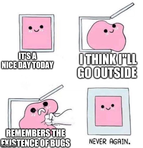 Please put me in one of your videos Memenade | IT'S A NICE DAY TODAY; I THINK I"LL GO OUTSIDE; REMEMBERS THE EXISTENCE OF BUGS | image tagged in never again | made w/ Imgflip meme maker