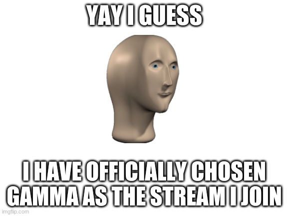 idon'tknowwhattotitlethis | YAY I GUESS; I HAVE OFFICIALLY CHOSEN GAMMA AS THE STREAM I JOIN | image tagged in blank white template | made w/ Imgflip meme maker