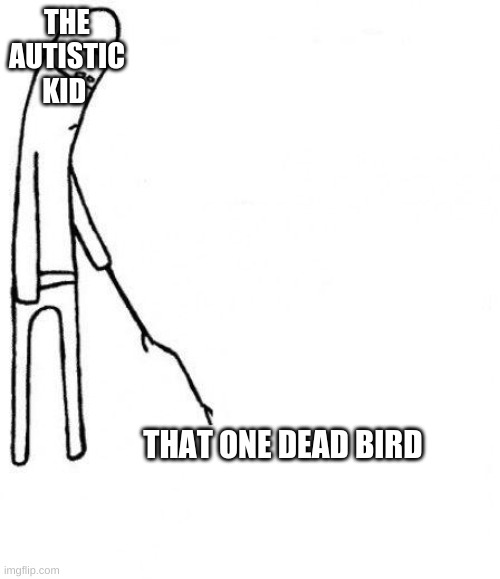 fly birb fly | THE AUTISTIC KID; THAT ONE DEAD BIRD | image tagged in c'mon do something | made w/ Imgflip meme maker
