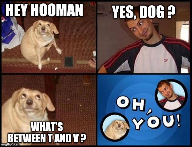 Oh You | HEY HOOMAN; YES, DOG ? WHAT'S BETWEEN T AND V ? | image tagged in oh you | made w/ Imgflip meme maker