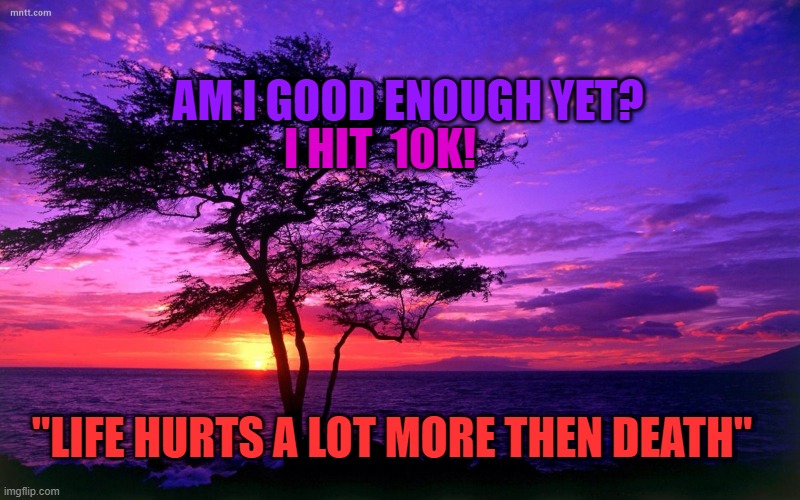 Sunrise purple beauty | AM I GOOD ENOUGH YET? I HIT  10K! "LIFE HURTS A LOT MORE THEN DEATH" | image tagged in sunrise purple beauty | made w/ Imgflip meme maker