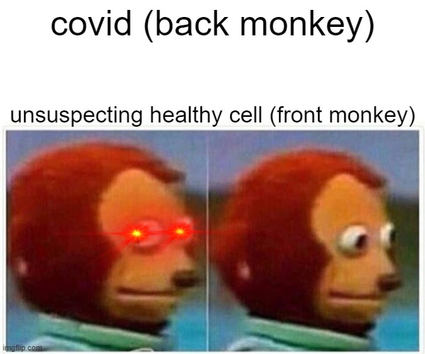 TO ALL CELLS: watch yyour back.... | covid (back monkey); unsuspecting healthy cell (front monkey) | image tagged in memes,monkey puppet | made w/ Imgflip meme maker