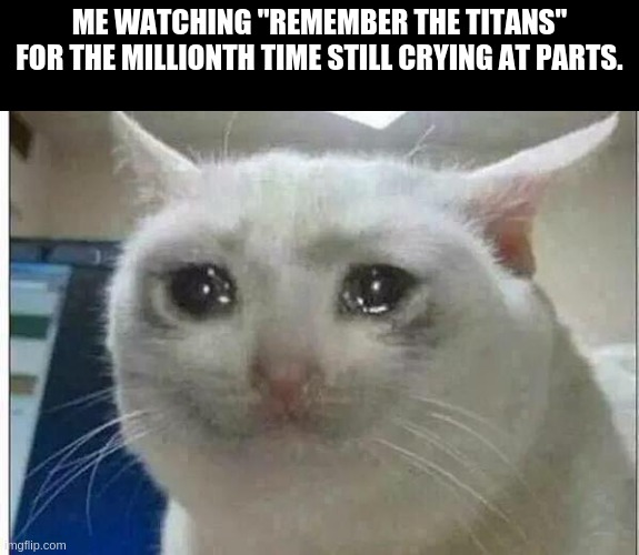 crying cat | ME WATCHING "REMEMBER THE TITANS" FOR THE MILLIONTH TIME STILL CRYING AT PARTS. | image tagged in crying cat | made w/ Imgflip meme maker