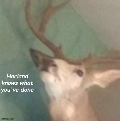 New temp | image tagged in harland knows | made w/ Imgflip meme maker