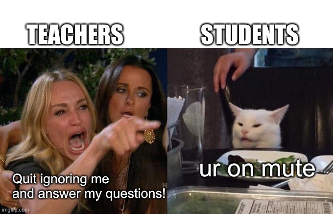 ‘-‘       >_<        -_-       ~_~        x_x | TEACHERS; STUDENTS; ur on mute; Quit ignoring me and answer my questions! | image tagged in memes,woman yelling at cat | made w/ Imgflip meme maker