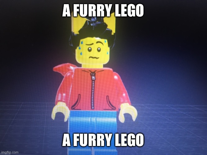What have I done | A FURRY LEGO; A FURRY LEGO | made w/ Imgflip meme maker