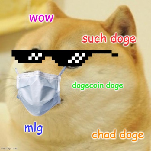 Doge Meme | wow; such doge; dogecoin doge; mlg; chad doge | image tagged in memes,doge | made w/ Imgflip meme maker