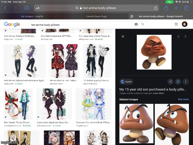 I tried going body pillow shopping, and that’s what I found | image tagged in disney killed star wars,star wars kills disney | made w/ Imgflip meme maker