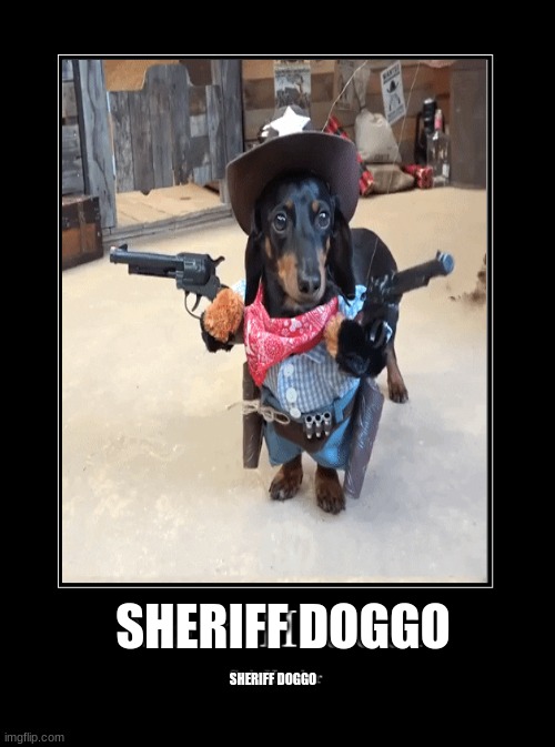 sheriff doggo | SHERIFF DOGGO; SHERIFF DOGGO | image tagged in sheriff,doggo | made w/ Imgflip meme maker