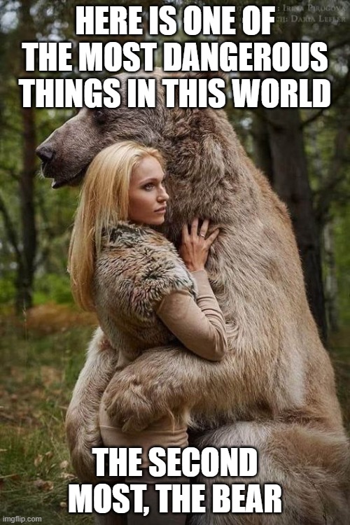Two of the most dangerous things | HERE IS ONE OF THE MOST DANGEROUS THINGS IN THIS WORLD; THE SECOND MOST, THE BEAR | image tagged in bear | made w/ Imgflip meme maker