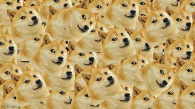 wooo it doges | image tagged in memes,multi doge | made w/ Imgflip meme maker