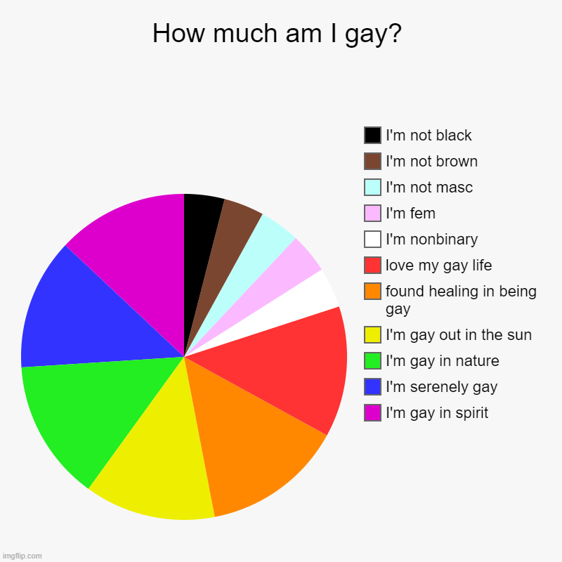 How much am I gay? | I'm gay in spirit, I'm serenely gay, I'm gay in nature, I'm gay out in the sun, found healing in being gay, love my gay | image tagged in charts,pie charts,gay pride flag,gay,trans,nonbinary | made w/ Imgflip chart maker