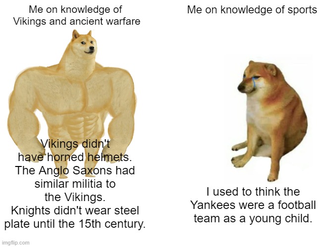 Knowledge vs. Ignorance | Me on knowledge of  Vikings and ancient warfare; Me on knowledge of sports; Vikings didn't have horned helmets.
The Anglo Saxons had similar militia to the Vikings.
Knights didn't wear steel plate until the 15th century. I used to think the Yankees were a football team as a young child. | image tagged in memes,buff doge vs cheems,vikings,history,sports,ignorance | made w/ Imgflip meme maker