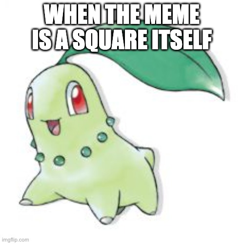 Chikorita | WHEN THE MEME IS A SQUARE ITSELF | image tagged in chikorita | made w/ Imgflip meme maker
