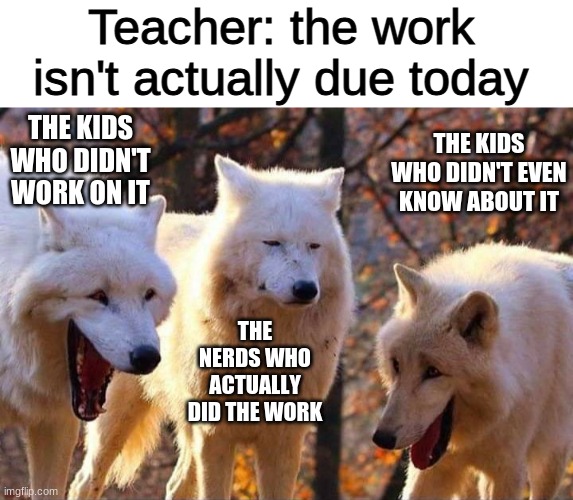 me who is all three: :/\/\/ | Teacher: the work isn't actually due today; THE KIDS WHO DIDN'T WORK ON IT; THE KIDS WHO DIDN'T EVEN KNOW ABOUT IT; THE NERDS WHO ACTUALLY DID THE WORK | image tagged in blank white template,laughing wolf,middle school | made w/ Imgflip meme maker