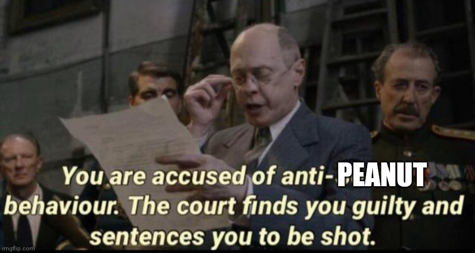 You are accused of anti-soviet behavior | PEANUT | image tagged in you are accused of anti-soviet behavior | made w/ Imgflip meme maker